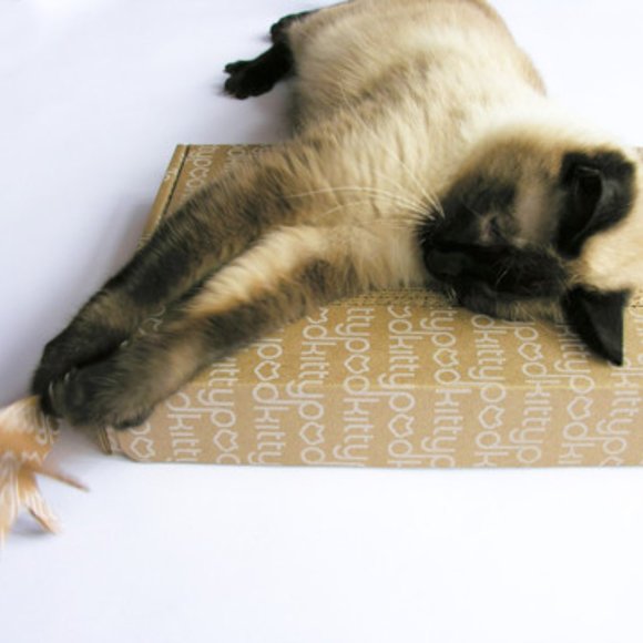 Kittypod Cat Scratcher Lil' Pawpaw Cardboard deck scratchpad NEW in box - Picture 3 of 5